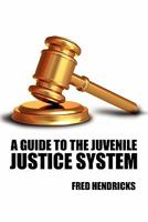 A Guide to the Juvenile Justice System 0557424992 Book Cover