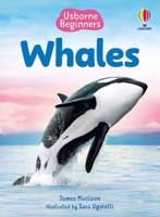 Beginners Whales 1836052146 Book Cover