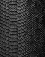 Pretty Naughty Notebook: Slick Black Snakeskin Image with Black Paper Interior Notebook to capture all of your wildest dreams, thoughts, desires. Great with pastel gel or glitter pens. Cool novelty gi 1079120181 Book Cover