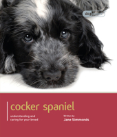 Cocker Spaniel 1906305684 Book Cover