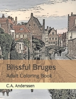 Blissful Bruges: Adult Coloring Book B08MXF6LMY Book Cover