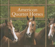 American Quarter Horses (Majestic Horses) 1626870012 Book Cover