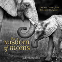 The Wisdom of Moms: Love and Lessons From the Animal Kingdom 1426218176 Book Cover