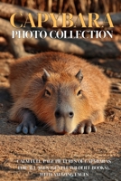 Capybara Photo Collection: Calm Full-Page Pictures of Capybaras for All Ages (Gentle Wildlife Books). with Amazing Facts B0GMN6FDJB Book Cover