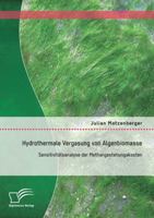 Hydrothermale Vergasung Von Algenbiomasse: Sensitivitatsanalyse Der Methangestehungskosten 3842871902 Book Cover