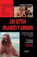 Los setter irlandés y gordon: Manual sobre el cuidado, educación y características de los setter irlandés y gordon (Spanish Edition) B0GT5SLJFZ Book Cover