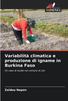 Variabilità climatica e produzione di igname in Burkina Faso: Un caso di studio nel comune di Léo 6206070670 Book Cover
