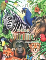 Creative Haven Wondrous Wildlife Coloring Book: 45 illustration B094L79KW7 Book Cover