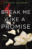 Break Me Like a Promise 0802737838 Book Cover