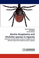 Bovine Anaplasma and Ehrlichia species in Uganda: Molecular characterization of Bovine Anaplasma and Ehrlichia species from Mbarara district, Uganda 3844331808 Book Cover