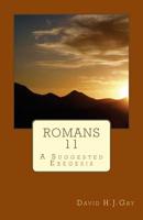 Romans 11: A Suggested Exegesis 1497492548 Book Cover