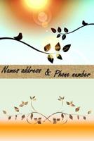 Names address & Phone number: Perfect for keeping addresses, email, mobile, work and home phone numbers 1079052631 Book Cover