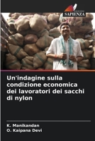 Un'indagine sulla condizione economica dei lavoratori dei sacchi di nylon 6205946998 Book Cover