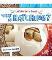 What Is Hatching? null Book Cover