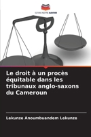 Le droit à un procès équitable dans les tribunaux anglo-saxons du Cameroun 6205968851 Book Cover