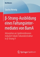 β-Strang-Ausbildung Eines Faltungsintermediates Von Bama: Adsorption an Lipidmembranen Induziert Lokale Sekund�rstruktur in β-Strang 9 3658290285 Book Cover