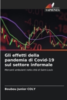 Gli effetti della pandemia di Covid-19 sul settore informale (Italian Edition) 6207850955 Book Cover