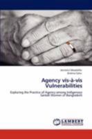 Agency VIS-A-VIS Vulnerabilities 384730500X Book Cover