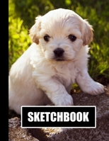 Sketchbook: Cute Puppy Dog Cover Design | White Paper | 120 Blank Unlined Pages | 8.5" X 11" | Matte Finished Soft Cover 171253453X Book Cover
