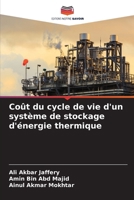 Coût du cycle de vie d'un système de stockage d'énergie thermique (French Edition) 620768317X Book Cover