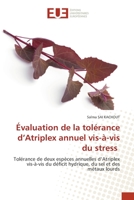 Évaluation de la tolérance d'Atriplex annuel vis-à-vis du stress 6202548207 Book Cover
