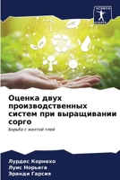 Оценка двух производств& 6206975754 Book Cover