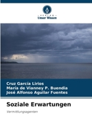 Soziale Erwartungen (German Edition) 6207003306 Book Cover