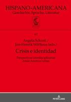 Crisis E Identidad. Perspectivas Interdisciplinarias Desde Amrica Latina 3631669070 Book Cover