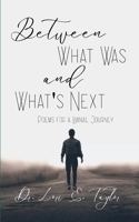 Between What Was and What's Next 9369547541 Book Cover