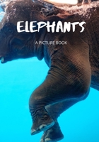 Elephant Picture Book: A Gift for Alzheimer's and Dementia Patients or for Kids of all ages B085KR3YR6 Book Cover