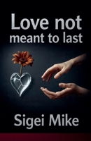Love Not Meant to Last B0GGJPFCN8 Book Cover