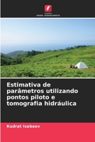 Estimativa de parâmetros utilizando pontos piloto e tomografia hidráulica (Portuguese Edition) 6209543855 Book Cover