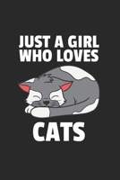 Katze K�tzchen Notizbuch: Katze K�tzchen Notizbuch f�r Liebhaber / Notizheft / Notizblock A5 (6x9in) Dotted Notebook / Punkteraster / 120 gepunktete Seiten 1673824188 Book Cover