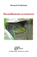 Recueillements aventureux (French Edition) B0B62Q7KPP Book Cover