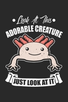 Look at this adorable creature Just look at it: Funny Axolotl Adorable Creature Fish Aquarium Owne Notebook 6x9 Inches 120 dotted pages for notes, drawings, formulas Organizer writing book planner dia 1712464566 Book Cover