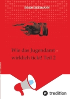 Wie das Jugendamt wirklich tickt! Teil 2: Mit welchen Mitteln der Kontakt zwischen Kindern und Eltern unterbunden wird (German Edition) 3384428315 Book Cover