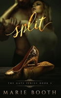 Split: The Gate Series Book 3 1733278400 Book Cover