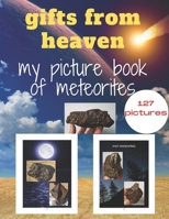 gifts from heaven ; my picture book of meteorites: 127 photos of different types of meteorites. B0BRDGQNV3 Book Cover