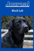 Black lab dog Journal series 1 with a cobalt blue background 1387354434 Book Cover