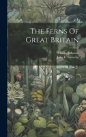 The Ferns Of Great Britain 1022369067 Book Cover
