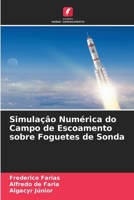 Simulação Numérica do Campo de Escoamento sobre Foguetes de Sonda (Portuguese Edition) 6208840708 Book Cover