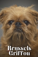 Brussels Griffon: Dog breed overview and guide B0C9S84XPP Book Cover