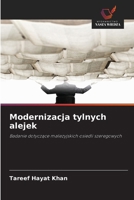 Modernizacja tylnych alejek (Polish Edition) 6209774806 Book Cover