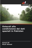 Ostacoli alla condivisione dei dati spaziali in Pakistan (Italian Edition) 6202491701 Book Cover