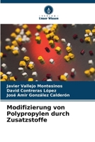 Modifizierung von Polypropylen durch Zusatzstoffe 6205305437 Book Cover