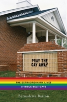 Pray the Gay Away: The Extraordinary Lives of Bible Belt Gays 0814786375 Book Cover