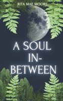 A Soul In-Between (A Voice In-Between) B0CLCM1BQT Book Cover