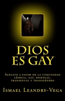 Dios es gay: Alegato a favor de la comunidad l�sbica, gay, bisexual, transexual y transg�nero 1482660768 Book Cover
