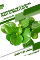 Peperomia obtusifolia (Baby Rubber Plant): Open terrarium, Beginner's Guide B0CDYXMK9J Book Cover