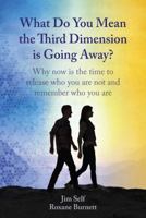 What do you mean the third dimension is going away? 0988576007 Book Cover